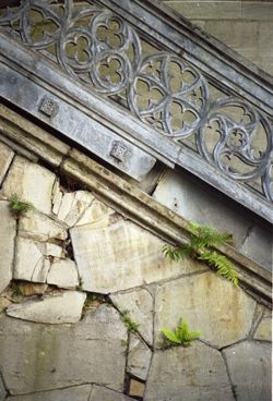 Ruined Beauty - Limited Edition Photographic Art by Christopher Strong